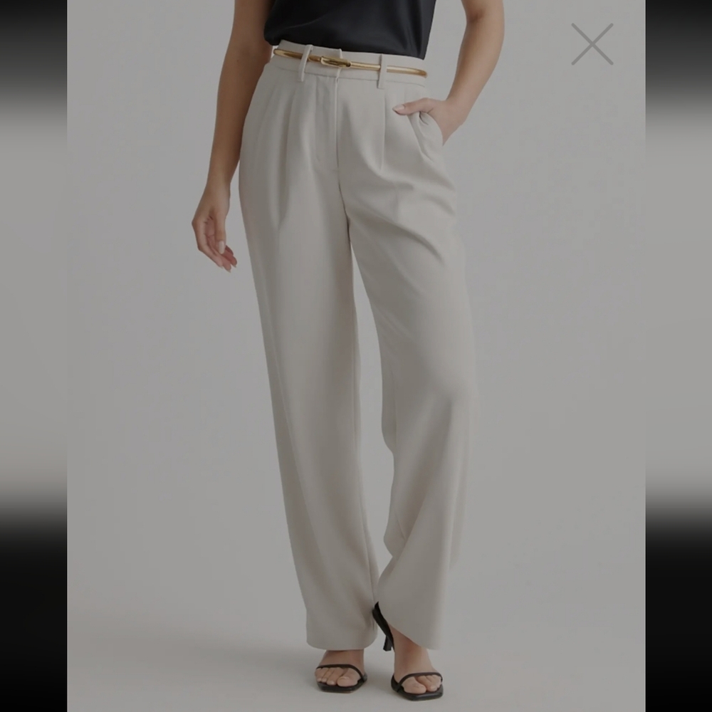 Quince Stretch Crepe Pleated Wide Leg Pants